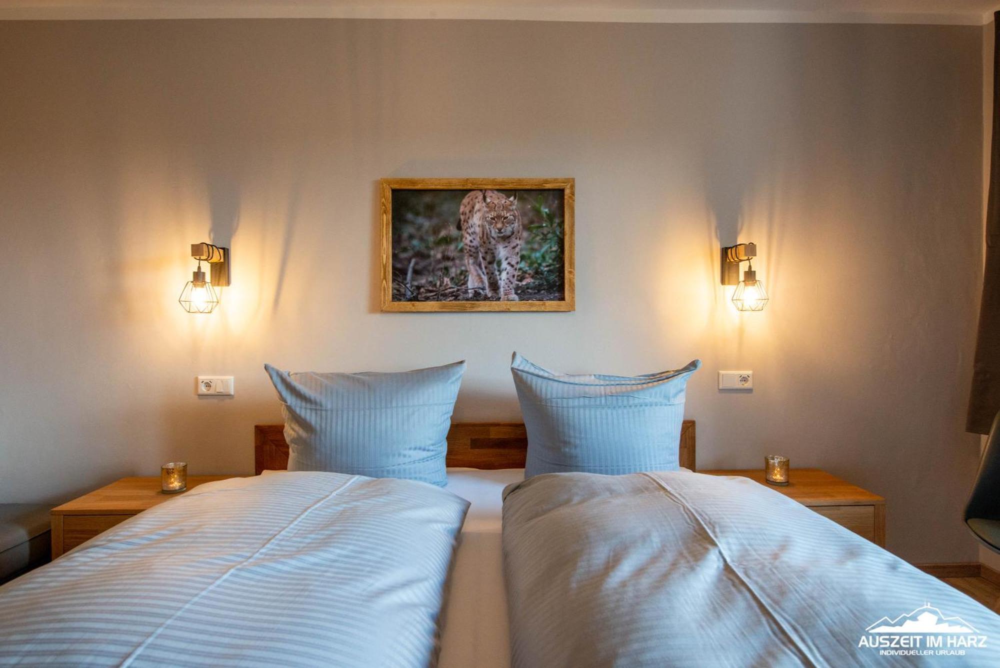 Auszeit-Im-Harz Haus 3 Wohnung 3 Braunlage Luaran gambar