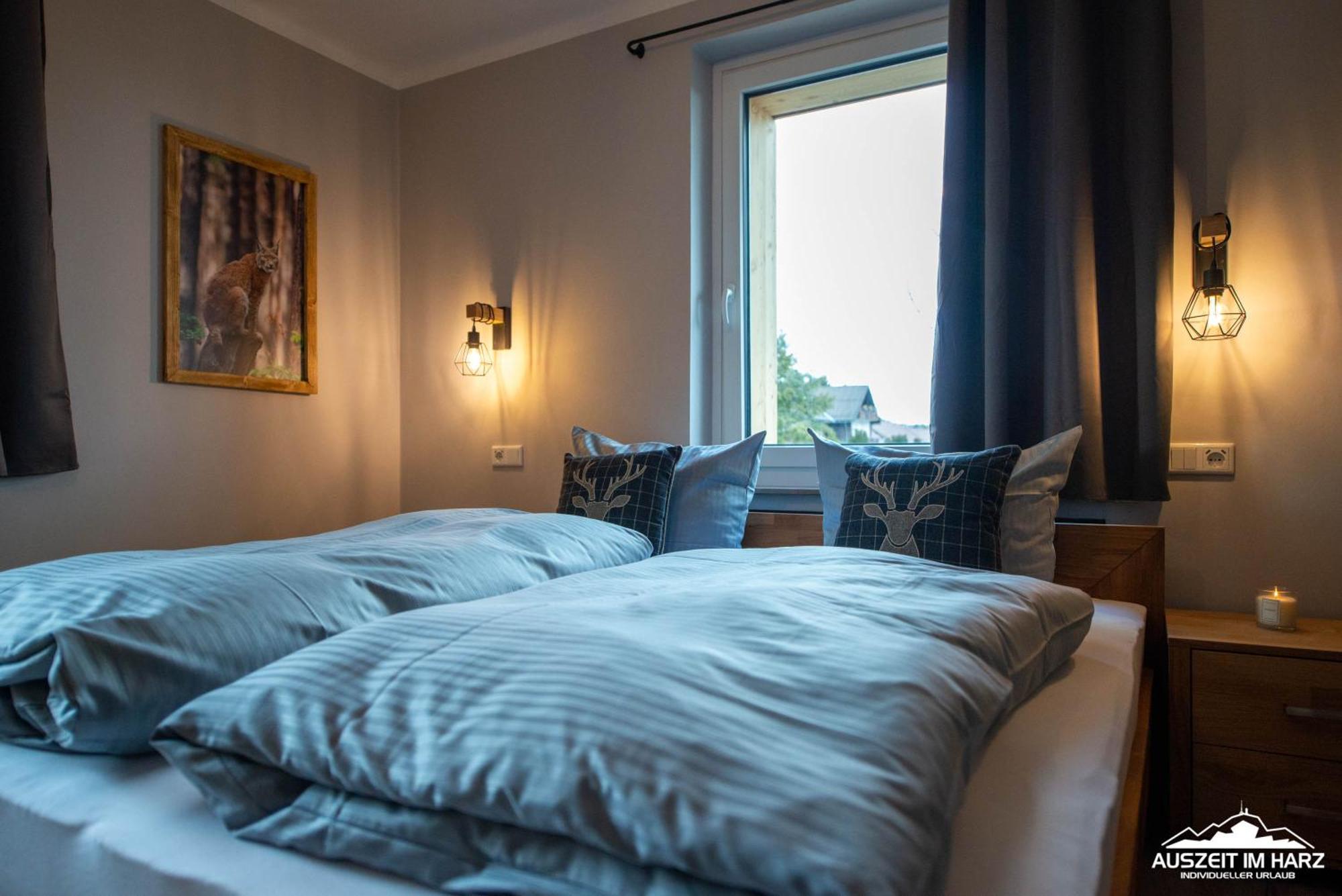 Auszeit-Im-Harz Haus 3 Wohnung 3 Braunlage Luaran gambar