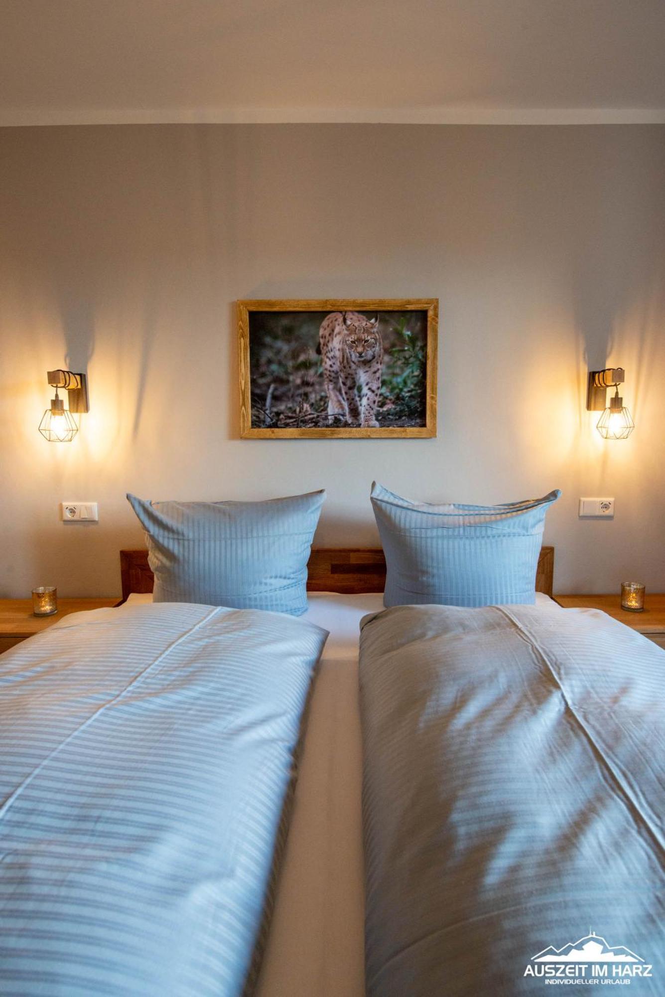 Auszeit-Im-Harz Haus 3 Wohnung 3 Braunlage Luaran gambar