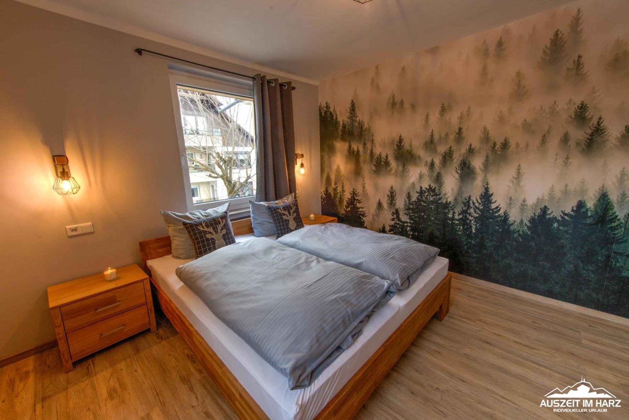 Auszeit-Im-Harz Haus 3 Wohnung 3 Braunlage Luaran gambar