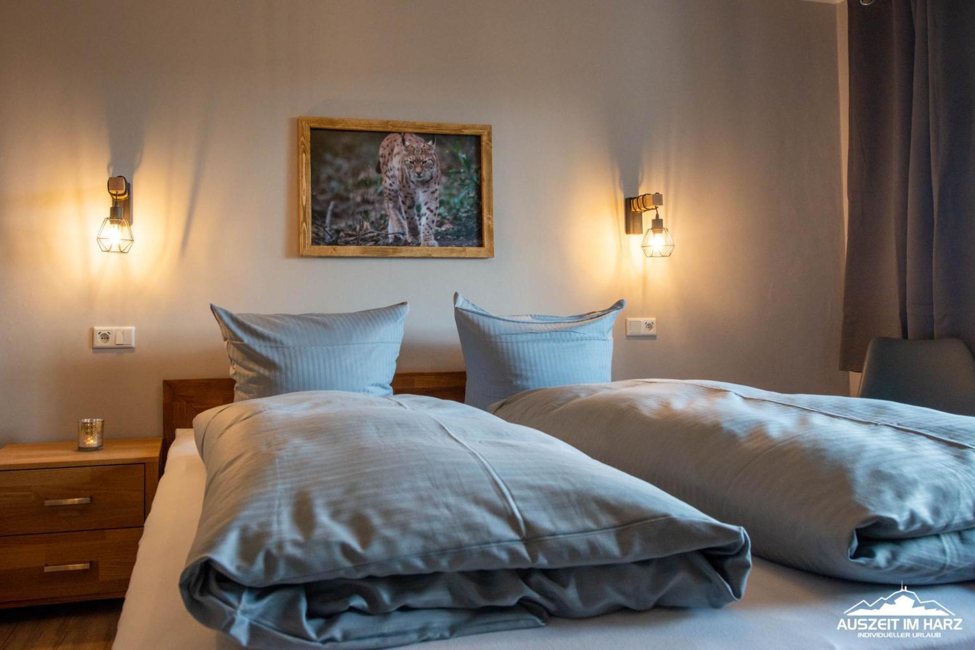 Auszeit-Im-Harz Haus 3 Wohnung 3 Braunlage Luaran gambar